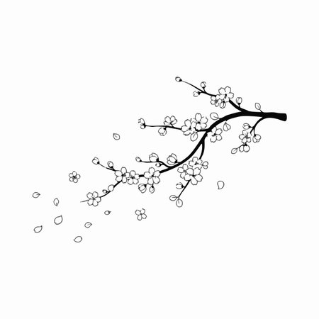 elegant cherry blossom branch ink drawing.のイラスト素材