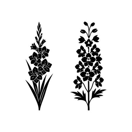 gladiolus flower black silhouette illustrationのイラスト素材