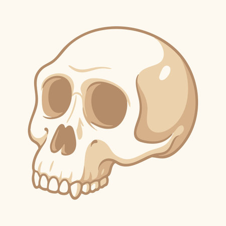 prehistoric human skull cartoon illustrationのイラスト素材