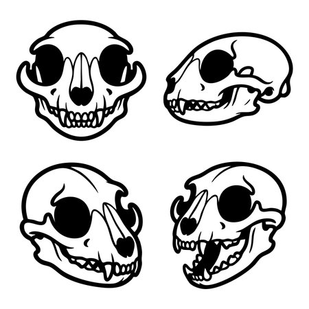 stylized cat skull illustrations multiple viewsのイラスト素材