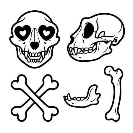 primate skull and bones line art setのイラスト素材