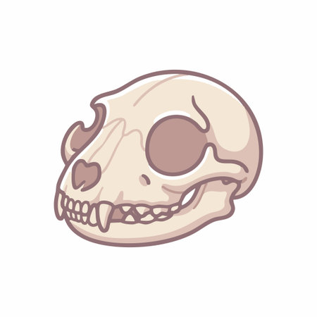 stylized cat skull cartoon illustrationのイラスト素材