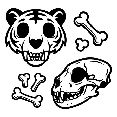 tiger skull and animal bones illustration setのイラスト素材
