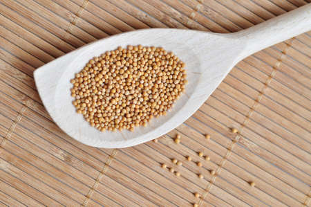 SPOON OF MUSTARD SEEDSの写真素材