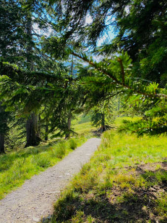 Narrow path in the Swizz Alps with beautiful viewの写真素材