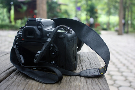 Camera In the Natureの写真素材