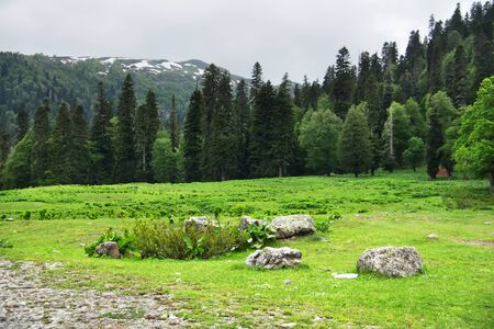 Mountain landscape. Caucasus Mountains in spring. Avadhara, Republic of Abkhazia.の写真素材