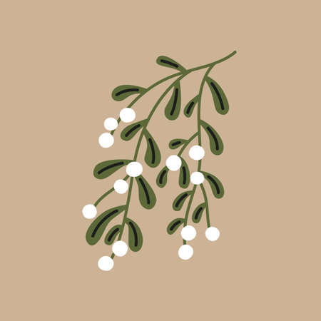 Branch of mistletoe with white berries. Christmas vector illustrationのイラスト素材