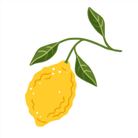 Lemon slice with leaves on a white background. Vector illustrationのイラスト素材