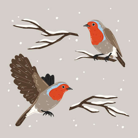 Vector set with snowy bare tree branches and robinsのイラスト素材