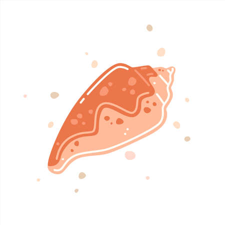 Pink spotted seashell, cone shell (conidae). vector flat illustrationのイラスト素材
