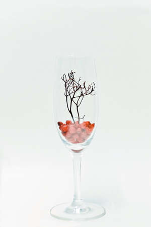 Glass with fallen rowan berriesの素材