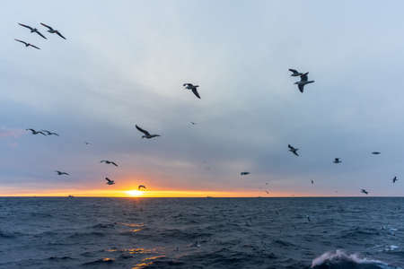 Sea landscapeの写真素材