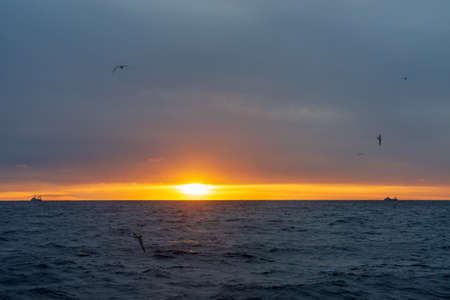 Sea landscapeの写真素材