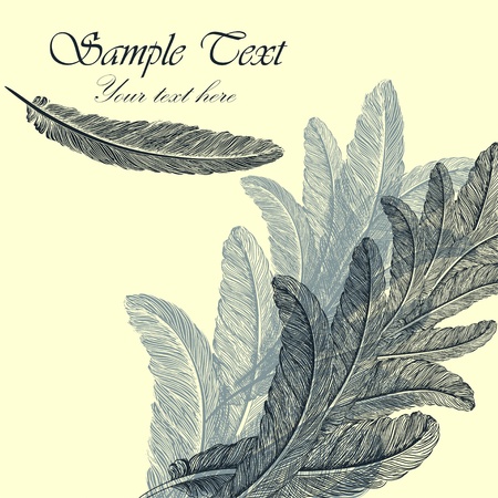 Vintage background with hand-drawn feathersのイラスト素材
