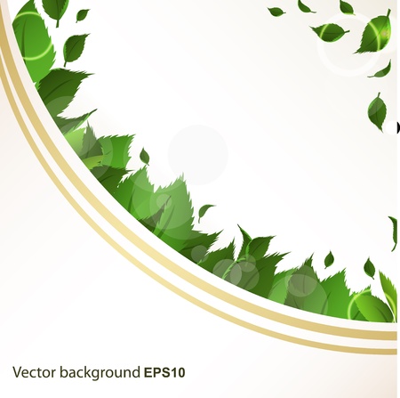 Abstract background with green leaves for designのイラスト素材