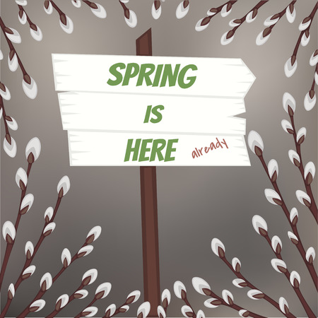 Spring design with pussy willow branches and wooden signのイラスト素材