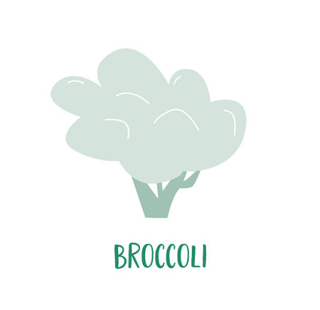 A hand drawn broccoli cabbage. Green vegetable for healthy vegan lifestyle. Go vegetarian. A simple flat illustrationのイラスト素材