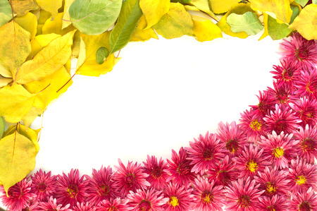 Isolated frame with autumn leaves and flowers on a white backgroundの写真素材