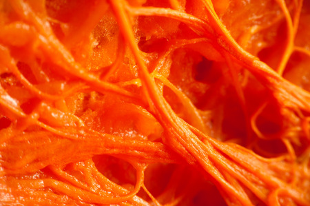 Abstract organic fibers close up . Macroの写真素材