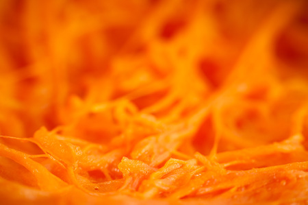 Abstract organic fibers close up . Macroの写真素材