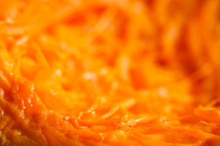 Abstract organic fibers close up . Macroの写真素材