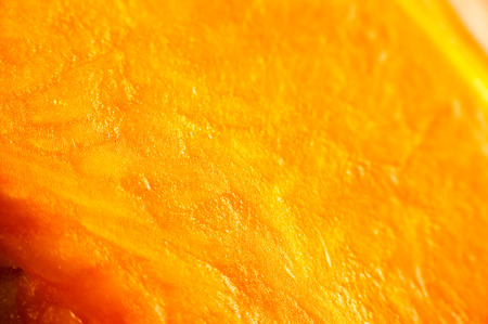 Abstract, textured, floral and orange background .の写真素材