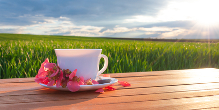 Mug with tea on the table in the green field .の写真素材