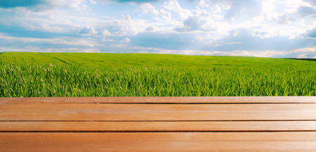 Wood plank and natural grass field with sky background .の写真素材
