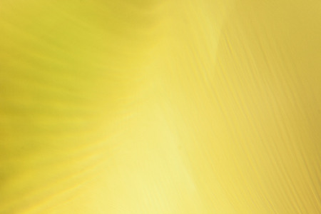 Yellow abstract background .の写真素材