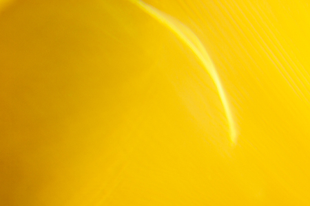 Yellow abstract background .の写真素材
