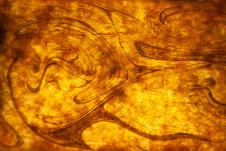 Abstract background from colored paint .