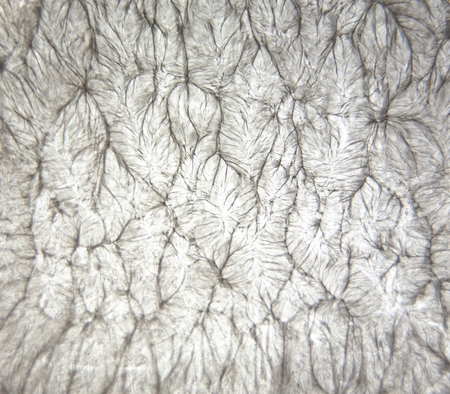 White texture. Close up light abstract background .の写真素材