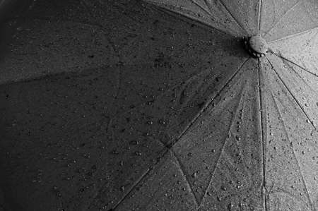 Texture of a black umbrella with water drops.