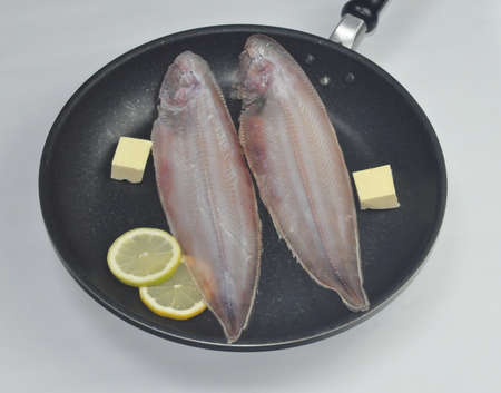 tongue sole fishの写真素材