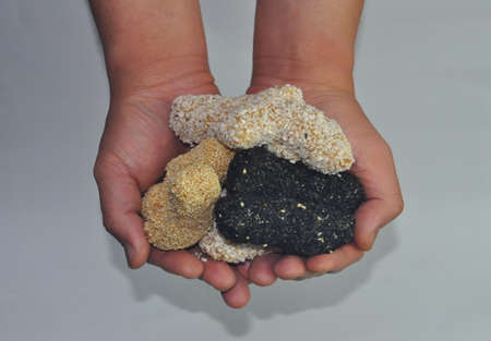 Korean traditional snack Hangwa
