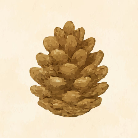 Pine cone watercolor brown rusticのイラスト素材