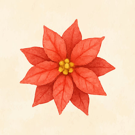 Poinsettia watercolor red christmas flowerのイラスト素材