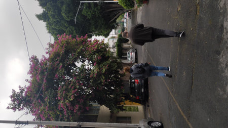 Street view in Cartagena, Colombiaの写真素材