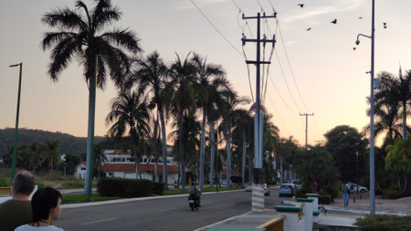 View of the road with palm trees in the background at sunset.の写真素材