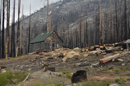 Abandoned wooden house in the forest, Yellowstone National Park, Wyomingの写真素材
