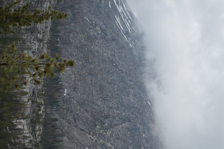 Clouds in the mountains with coniferous trees on the foregroundの写真素材