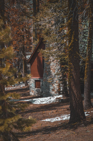 wooden chapel in the forest. Toned image with selective focusの写真素材
