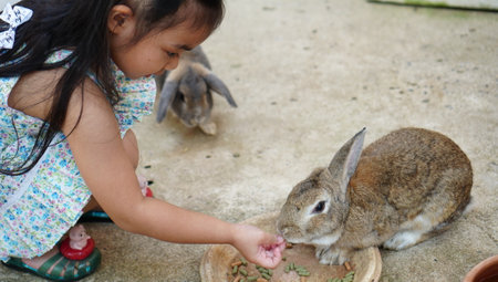 Little Asian girl feeding rabbits at the park. Animal care concept.の写真素材