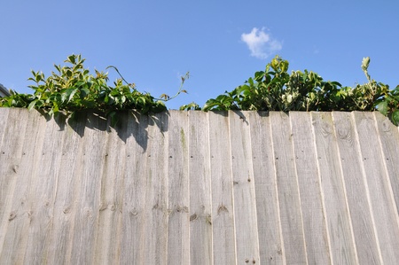 Garden Fenceの写真素材