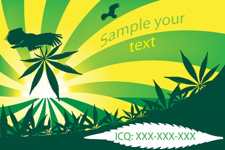 Cannabis visit card, vector illustrationのイラスト素材