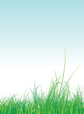 Grass frame with sky background, vector illustrationのイラスト素材