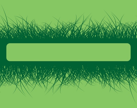 Grass frame on green background, vector illustrationのイラスト素材