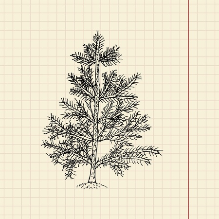 Christmas tree sketch on school paper, vector illustration, eps 10のイラスト素材