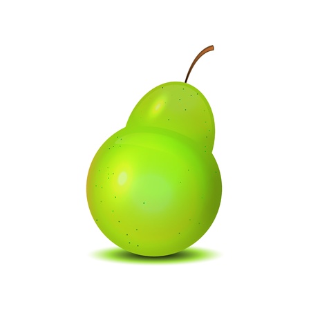 Isolated realistic pear on white.のイラスト素材
